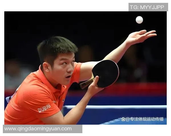 乒乓球技艺探秘：深入解析杭州乒乓球队的防守策略与技巧