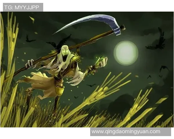 刘秀英独家揭秘英雄联盟游戏策略与技巧分享