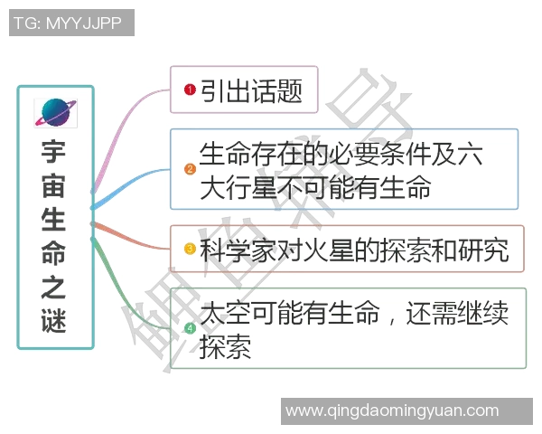 武汉乒乓球队的精神探索与训练背后的故事揭秘