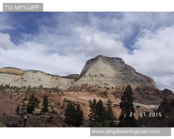 深圳极限运动队揭秘：挑战极限的激情与坚持之路