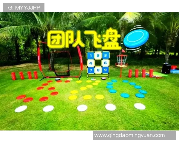 飞盘盛宴：深入了解重庆飞盘队的默契配合与团队精神