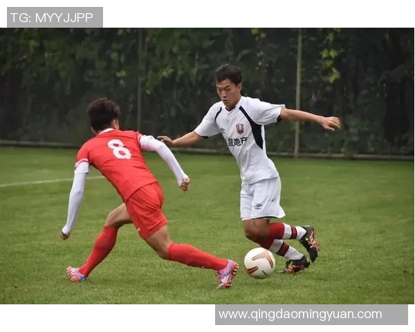 斯文登与绿色森林流浪的精彩对决揭示了足球的魅力与团队精神的较量 斯文登与绿色森林流浪的精彩对决揭示了足球的魅力与团队精神的较量