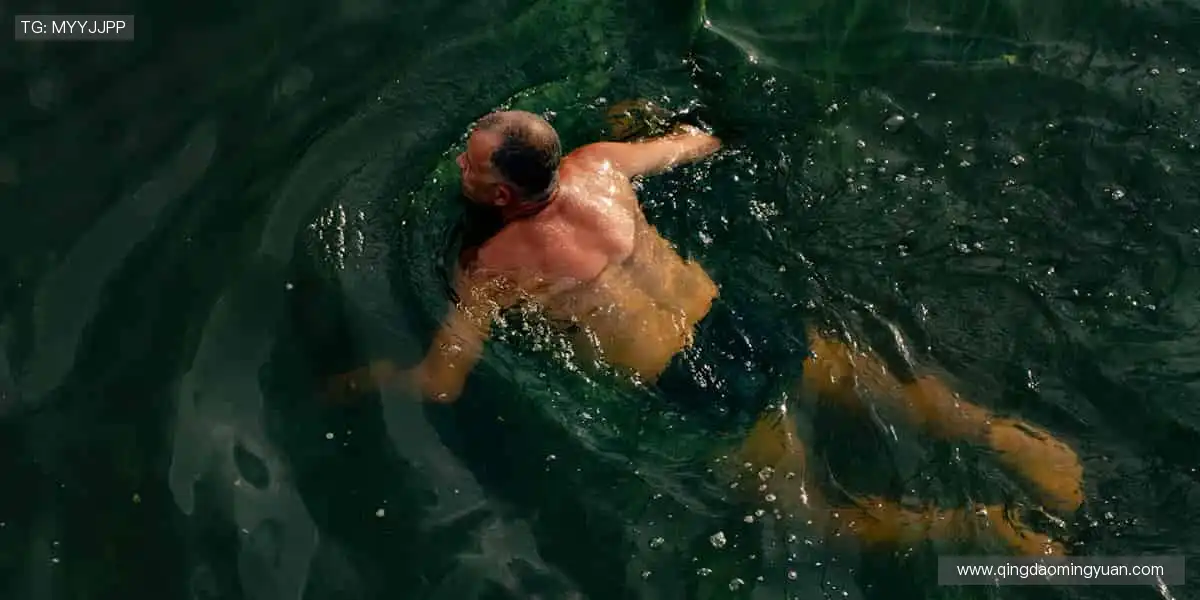 📺 高清直播，实时互动！不错过每一个心跳瞬间！